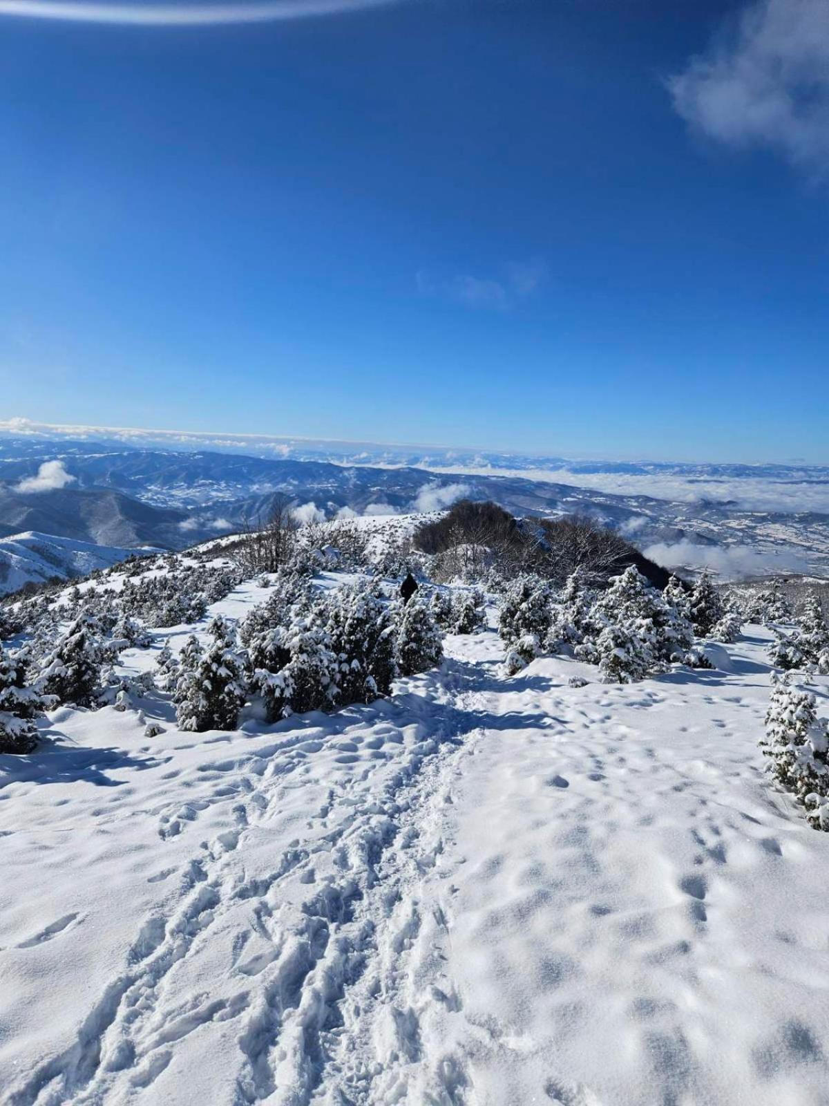 Apartmani Kraljevi Cardaci Kopaonik Luaran gambar